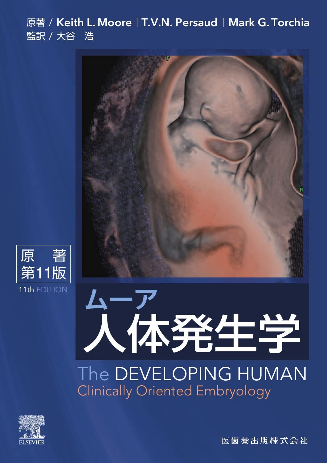 ムーア人体発生学 原著第11版 | K.L.Moore, 大谷 浩, 小川 典子, 松本