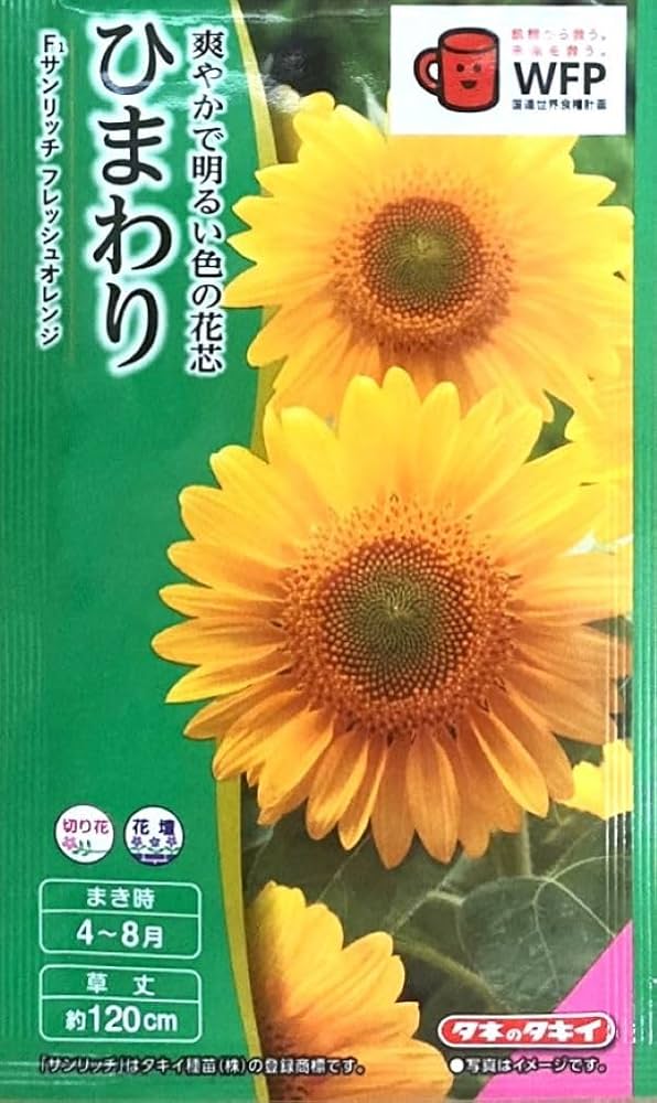 Amazon | タキイ種苗 花種 ひまわり F1サンリッチ フレッシュ