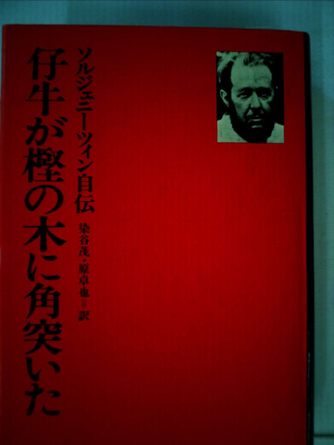 仔牛が樫の木に角突いた―ソルジェニーツィン自伝 (1976年