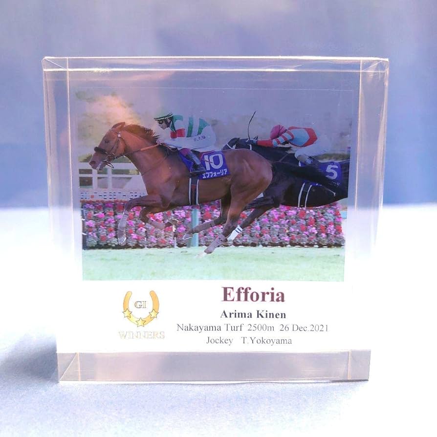 Amazon.co.jp: アクリルオブジェ エフフォーリア 競馬 ぬいぐるみ 有馬