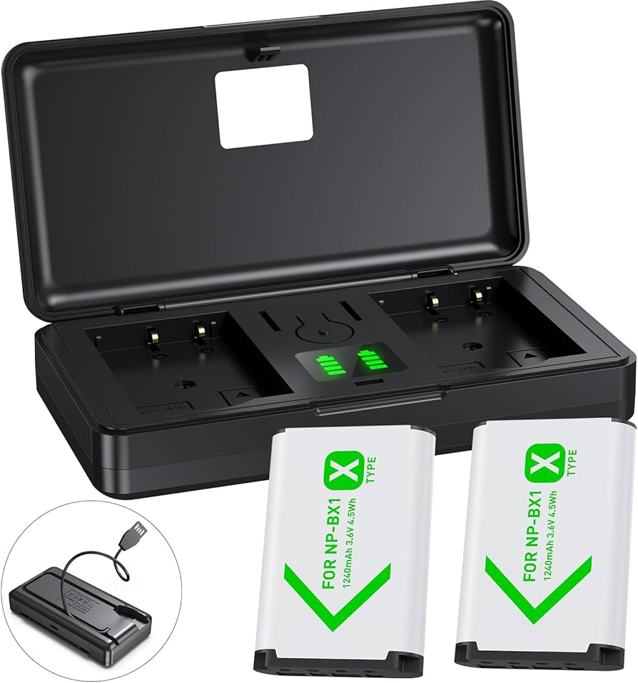Amazon.com: NP-BX1 Camera Battery (2 Pack) and 2-Channel USB