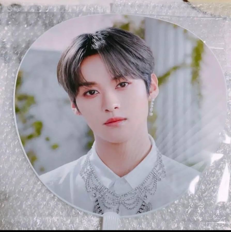 stray kids スキズ LEEKNOW リノ うちわ 【公式通販】