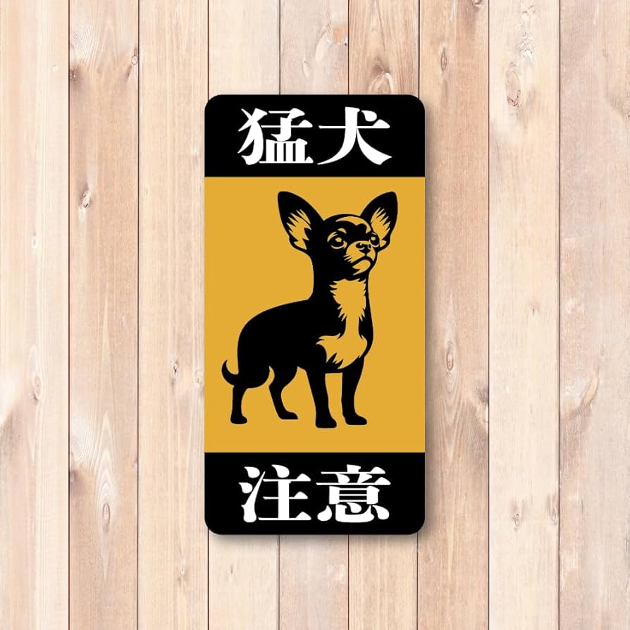 61u4ssy+KvL._AC_UF894,