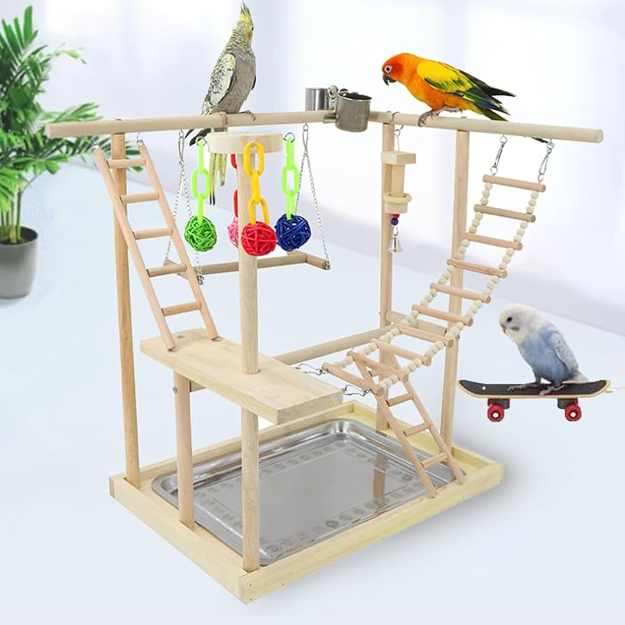 Amazon | SASATO インコ おもちゃ 止まり木 景品付き アスレチック