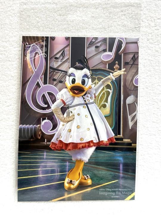 Amazon.co.jp: デイジー スペシャルフォト ミッキーのマジカル