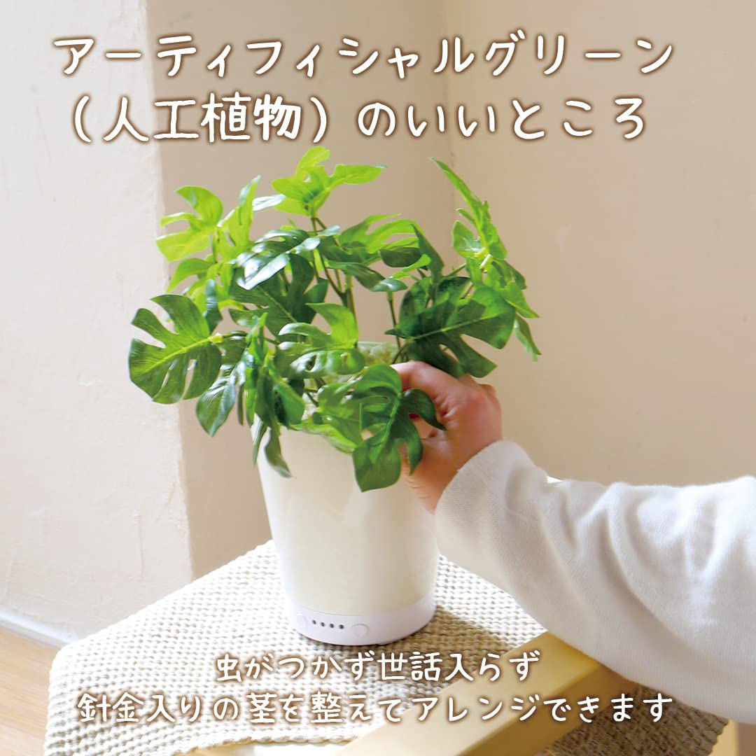 Amazon｜LITHON ライソン グリーンアロマミスト ファーン GREEN AROMA