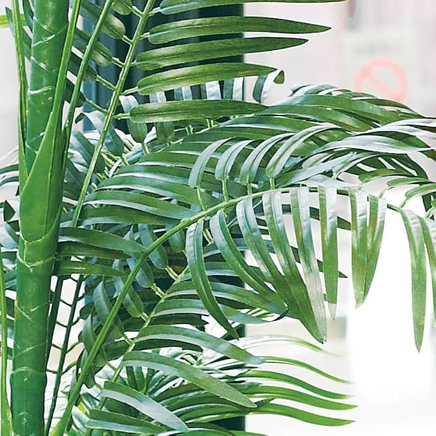 Amazon｜フェイクグリーン アレカヤシ 180cm 1台 【 観葉植物 フェイク