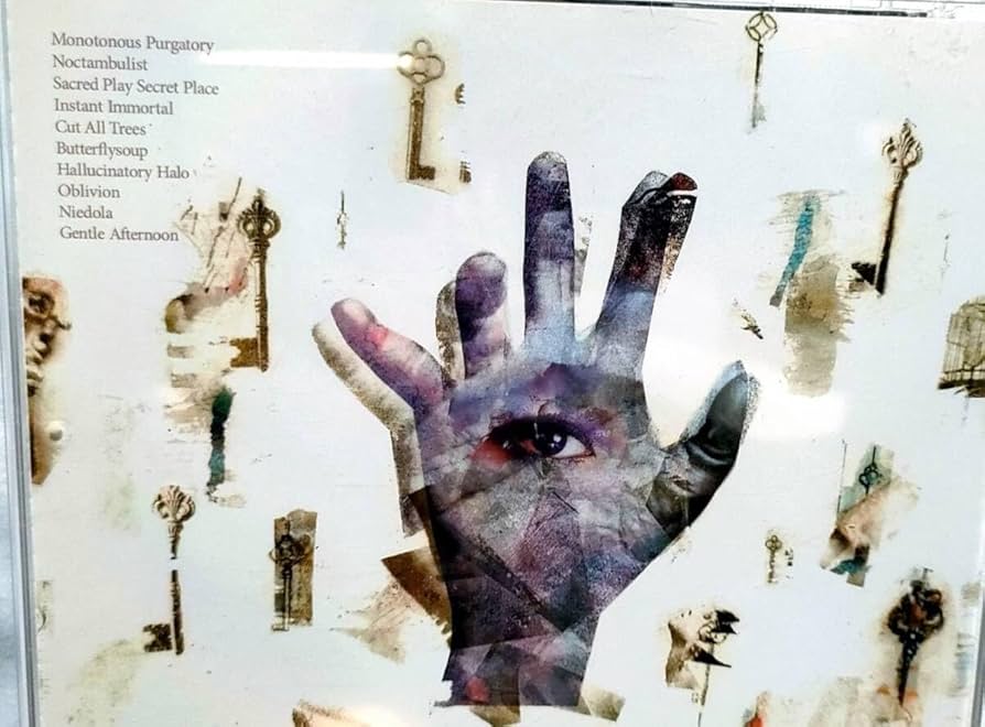 Amazon.co.jp: 舐達磨 FEEL OR BEEF BADPOP IS DEAD BAD HOP ビーフ元