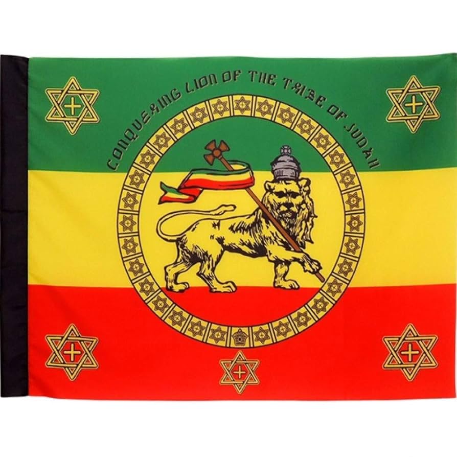 Amazon.co.jp: 【drs】ラスタ レゲエ ライオン エチオピア Imperial