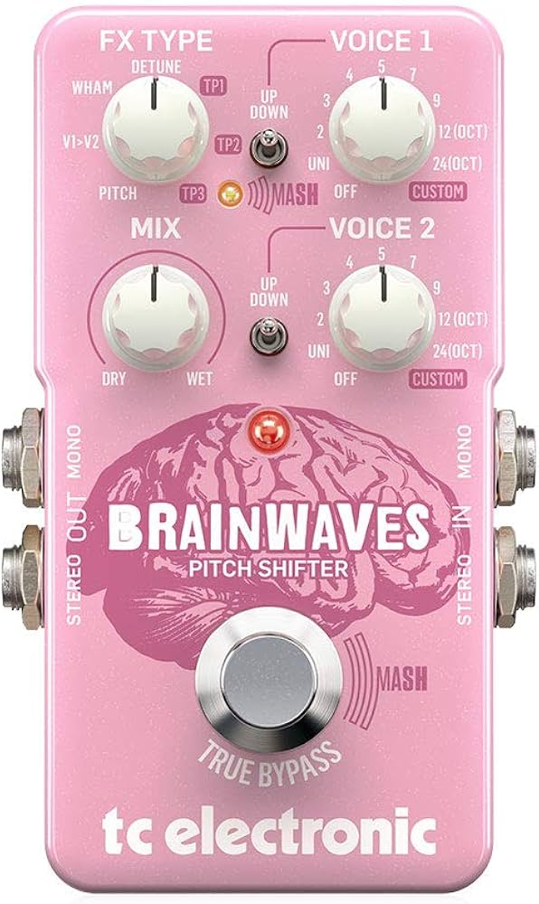 TC Electronic BRAINWAVES Guitar Tools PITCH SHIFTER : Amazon.ca