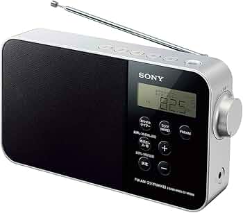 61xzj5HX2-L._AC_UF350,