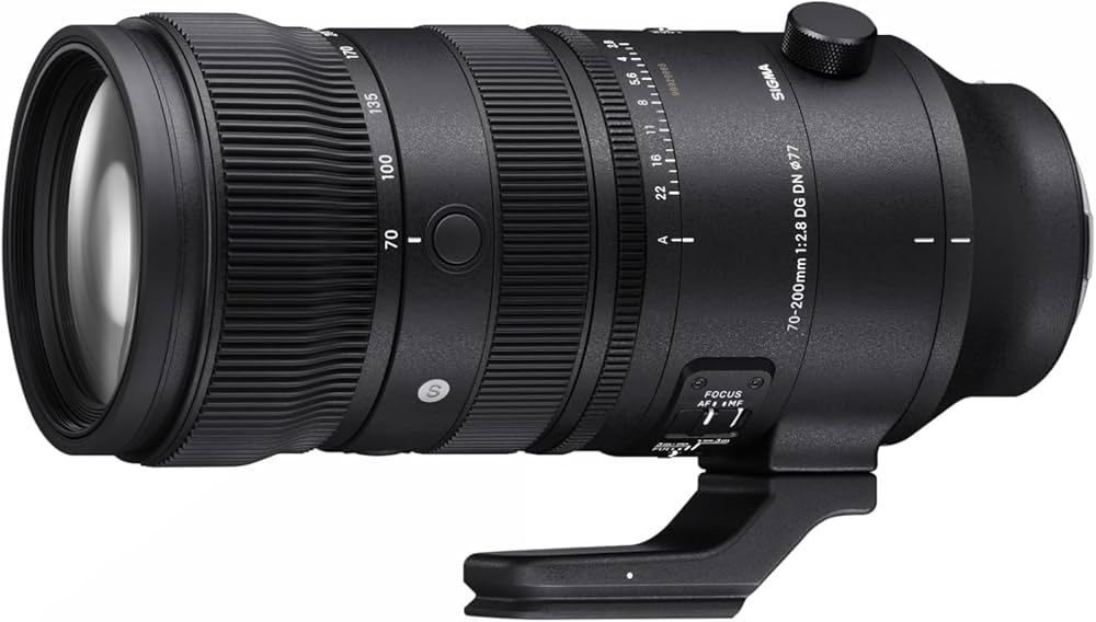 Amazon.co.jp: シグマ(Sigma) レンズ 70-200mm F2.8 DG DN OS L