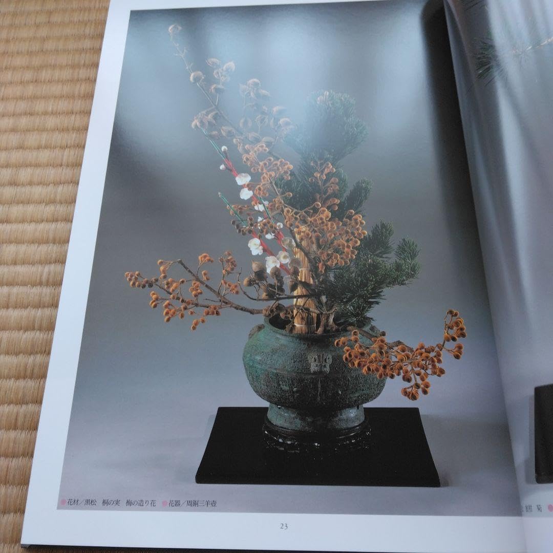 Amazon.co.jp: しました小原豊雲遺作集 幻花巡歴 : ホーム＆キッチン