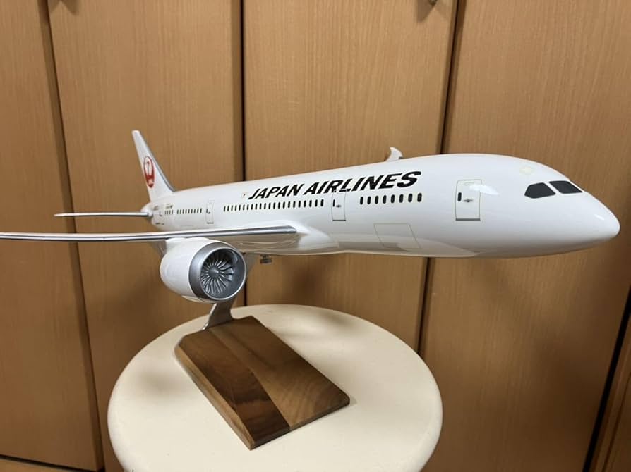 PACMIN JAPAN AIRLINES 航空機モデル 1/100 PACMIN JAPAN AIRLINES