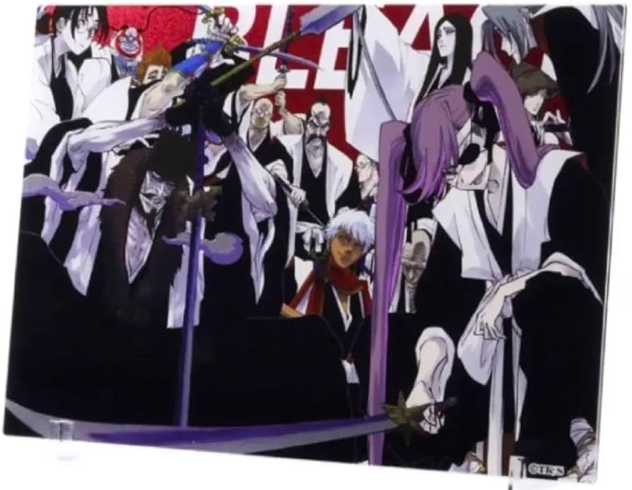 Amazon.co.jp: BLEACH ブリーチ 初代護廷十三隊 箔入り アクリルアート