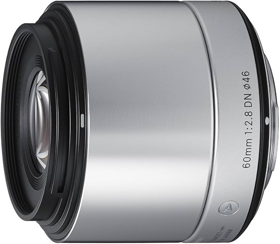 Amazon.com : Sigma 60mm F2.8 EX DN Art (Silver) for Micro 4/3