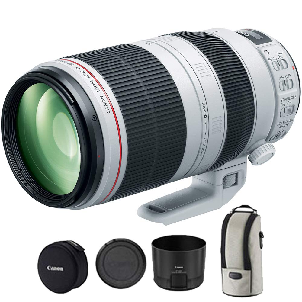 Amazon.com : Canon EF 100-400mm f/4.5-5.6L is II USM Lens