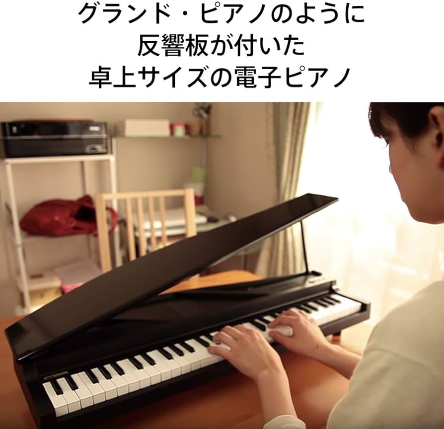 Amazon | KORG MICROPIANO マイクロピアノ ミニ鍵盤61鍵 レッド 61曲の