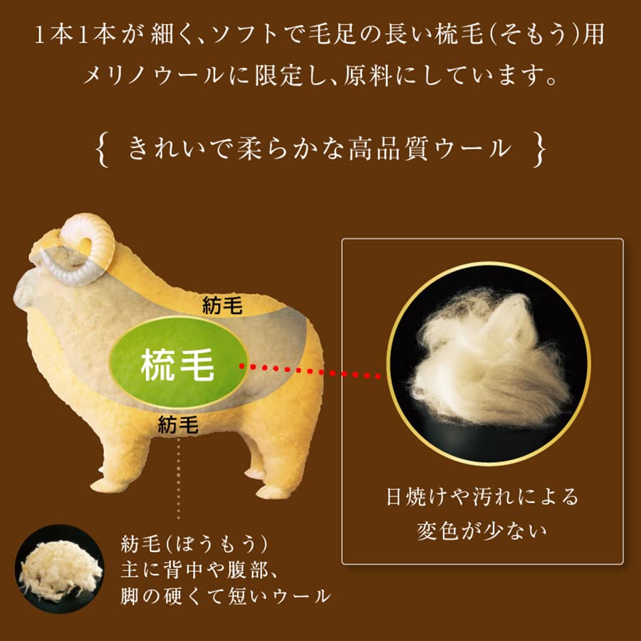 Amazon.co.jp: The PREMIUM Sofwool 敷き毛布 S(シングル) : ホーム