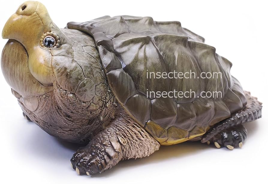 Amazon.co.jp: 【動物の惑星】ワニガメ フィギュア完成品