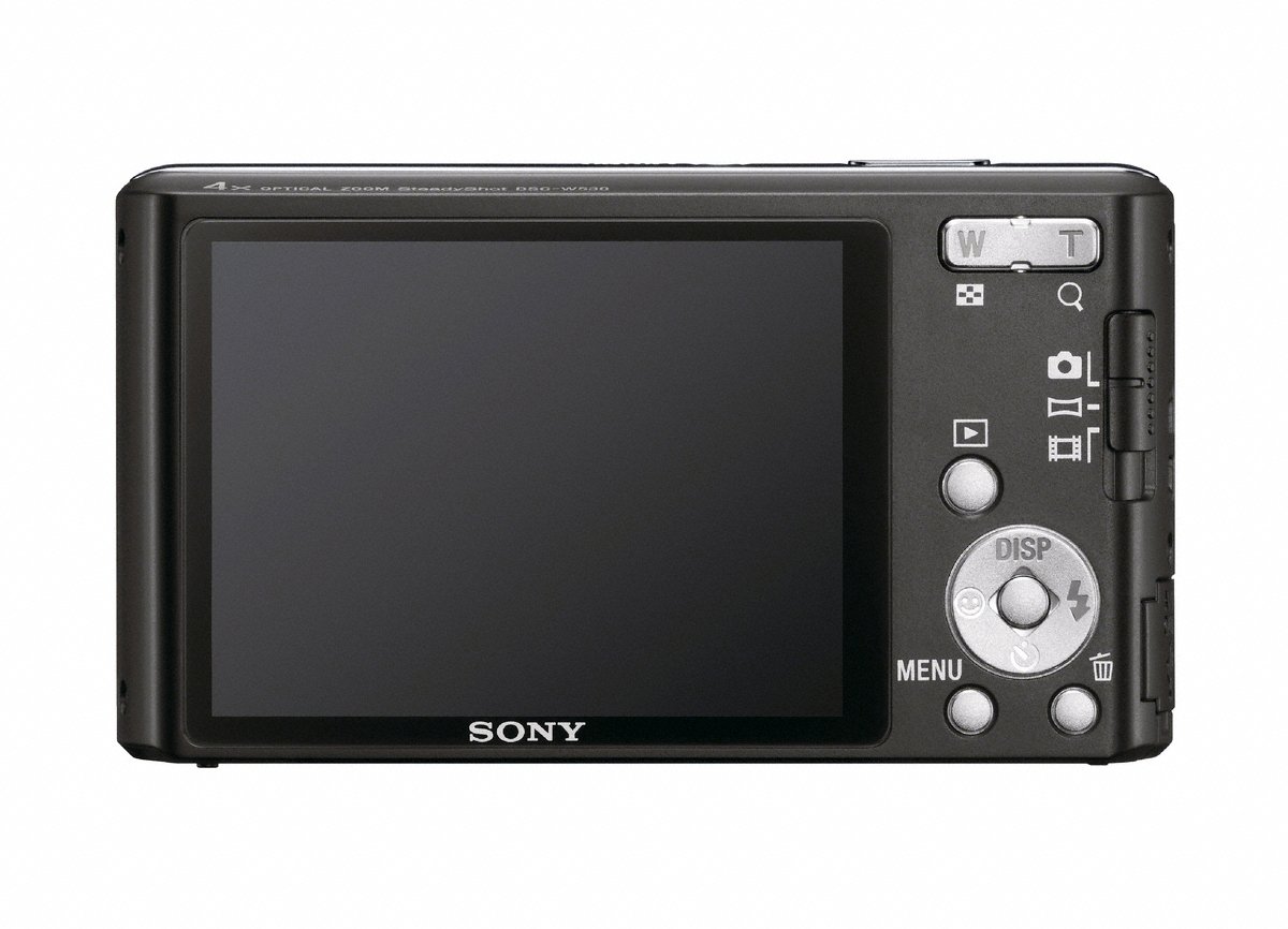 Amazon.com : Sony Cyber-Shot DSC-W530 14.1 MP Digital Camera with