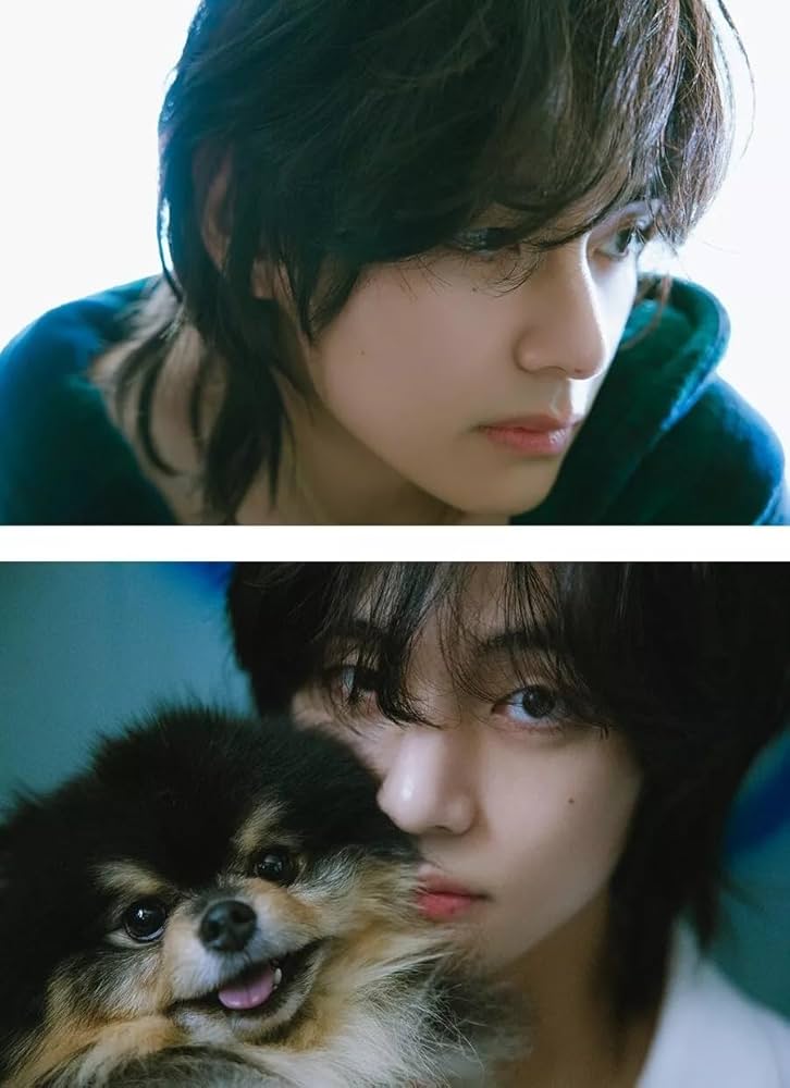 Amazon.com: BTS V LAYOVER Album (LP Ver. + Gift Card) K-POP SEALED