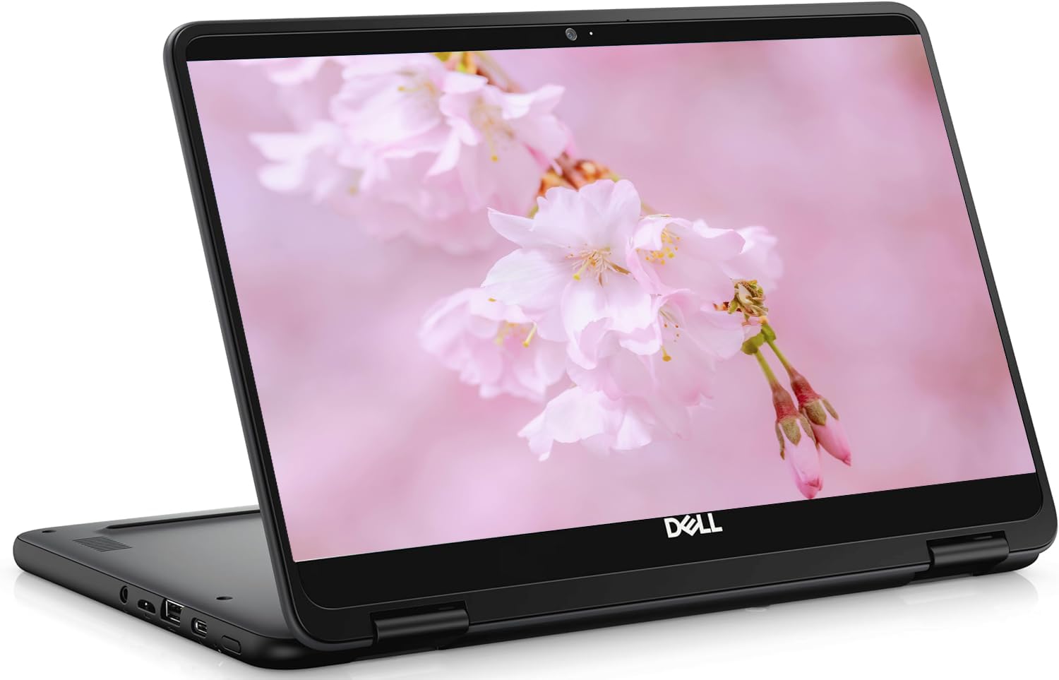 Amazon.com: Dell 11