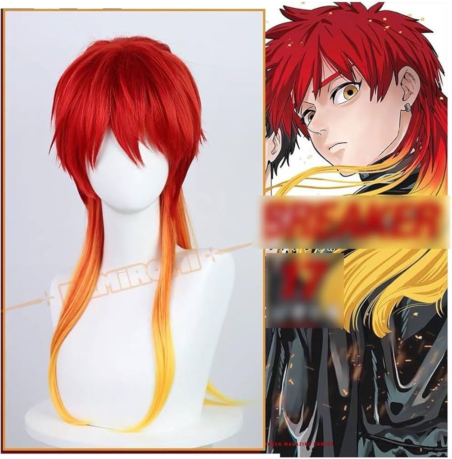 Amazon.co.jp: ウィンドブレーカー 焚石矢 コスプレ ウィッグ Wig