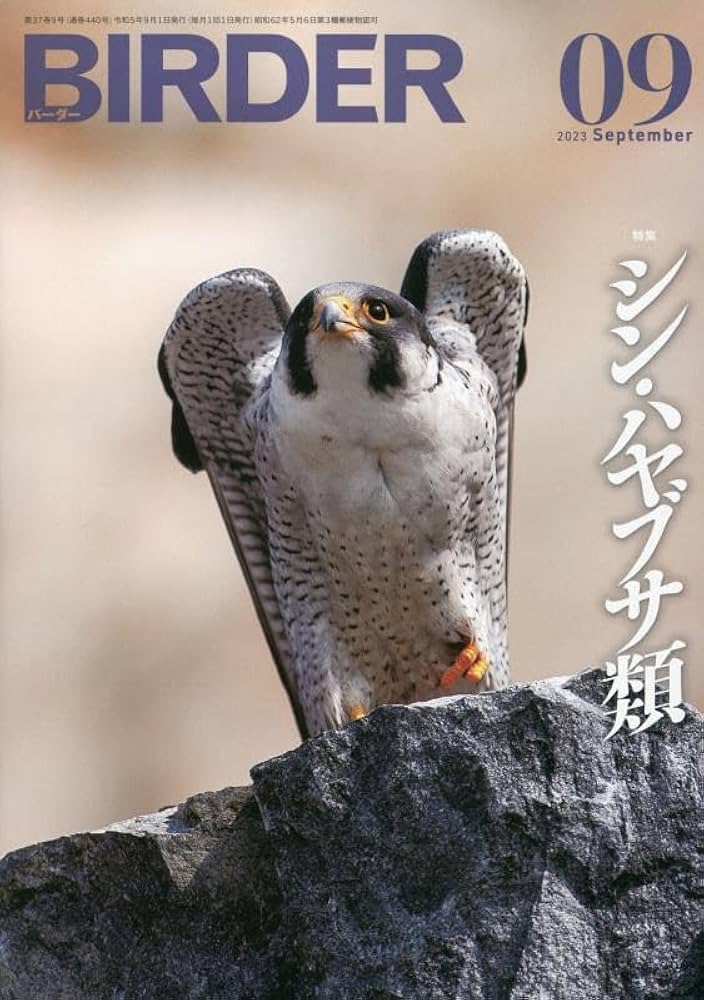美品【BIRDER 】2023年 BIRDER 2023年 09 月号 [雑誌] |本 | 通販