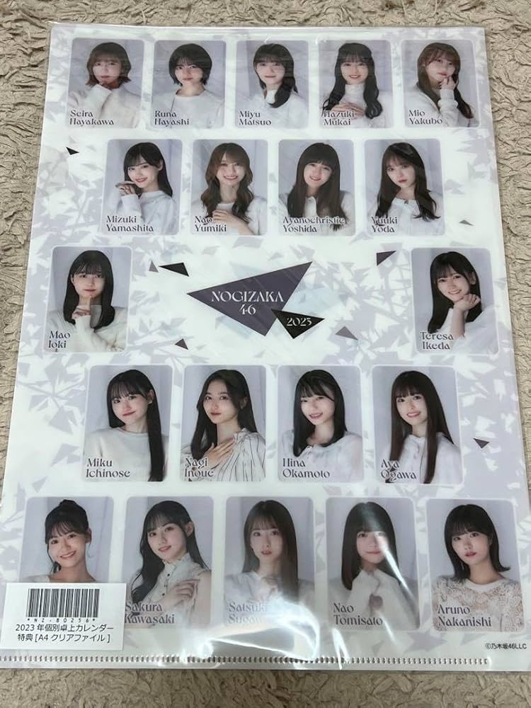 乃木坂46 生写真・クリアファイル、ポスター・写真集・雑誌 引退品
