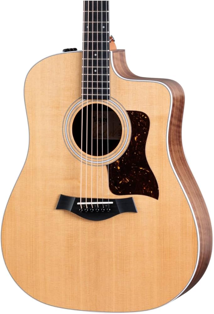 Amazon.com: Taylor 210ce Dreadnought Acoustic-electric Guitar
