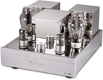 Amazon.co.jp: 300B シングルエンド 内蔵 真空管アンプ A級 HiFi