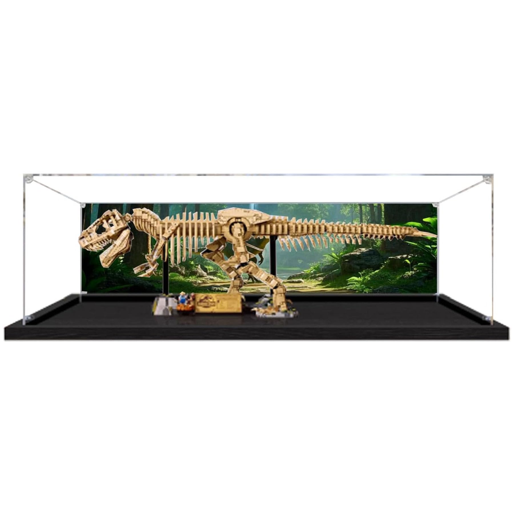 Amazon.com: Acrylic Display Case for Lego 76968 Dinosaur Fossil