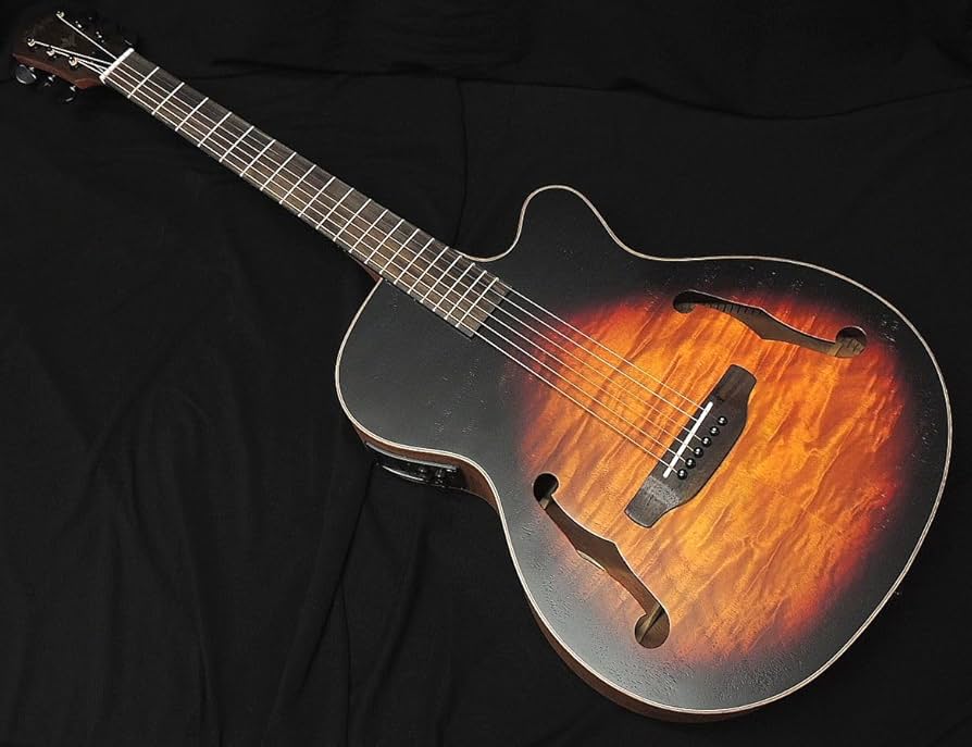 Amazon | 【特別カラー】ARIA FET-F2 BS Fホールエレアコ オリジナル