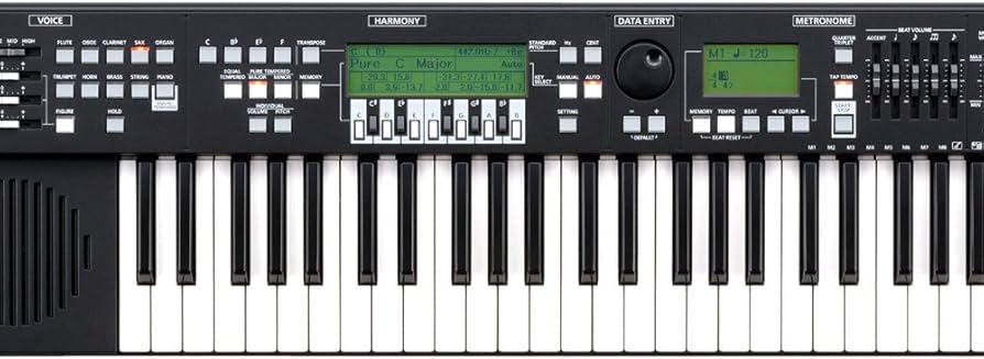 Amazon | ヤマハ YAMAHA ハーモニーディレクター HD-200 機能面充実と