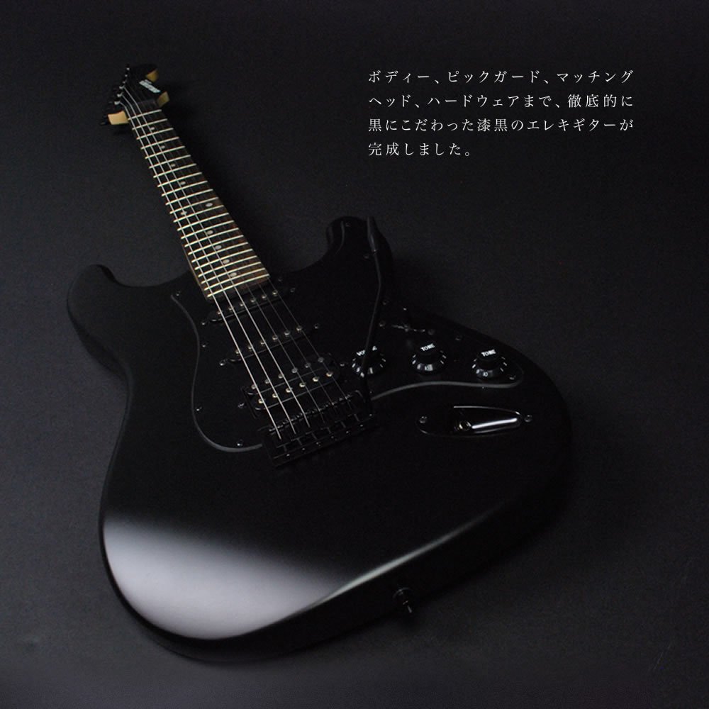 Amazon | SELDER セルダー エレキギター ストラトキャスタータイプ