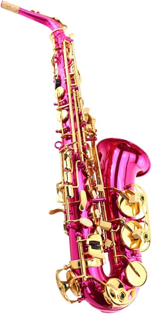 Amazon | サックス Eフラット アルトサックス 楽器 全身彫刻サックス