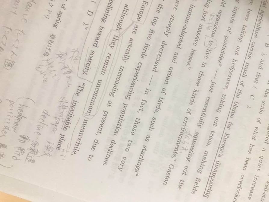 Amazon.co.jp: 神戸英語 駿台 夏期講習 2022 : おもちゃ