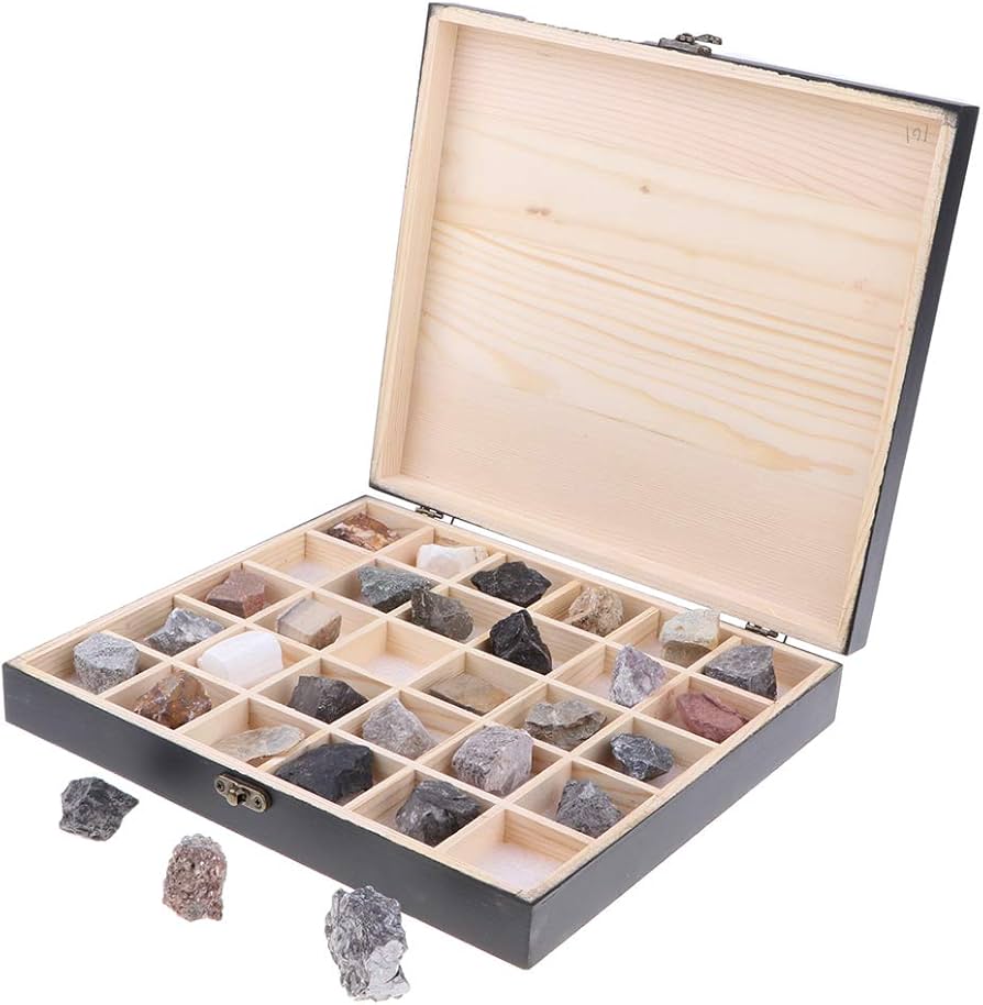 Amazon | 岩石 鉱石標本 図鑑 木箱付き 石コレクション 堆積岩サンプル