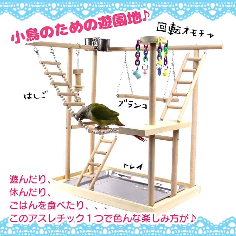 Amazon | fuu バードアスレチック はしごタイプ 小鳥 止まり木 休み場