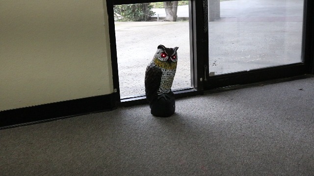 Amazon.com : GiftExpress 16