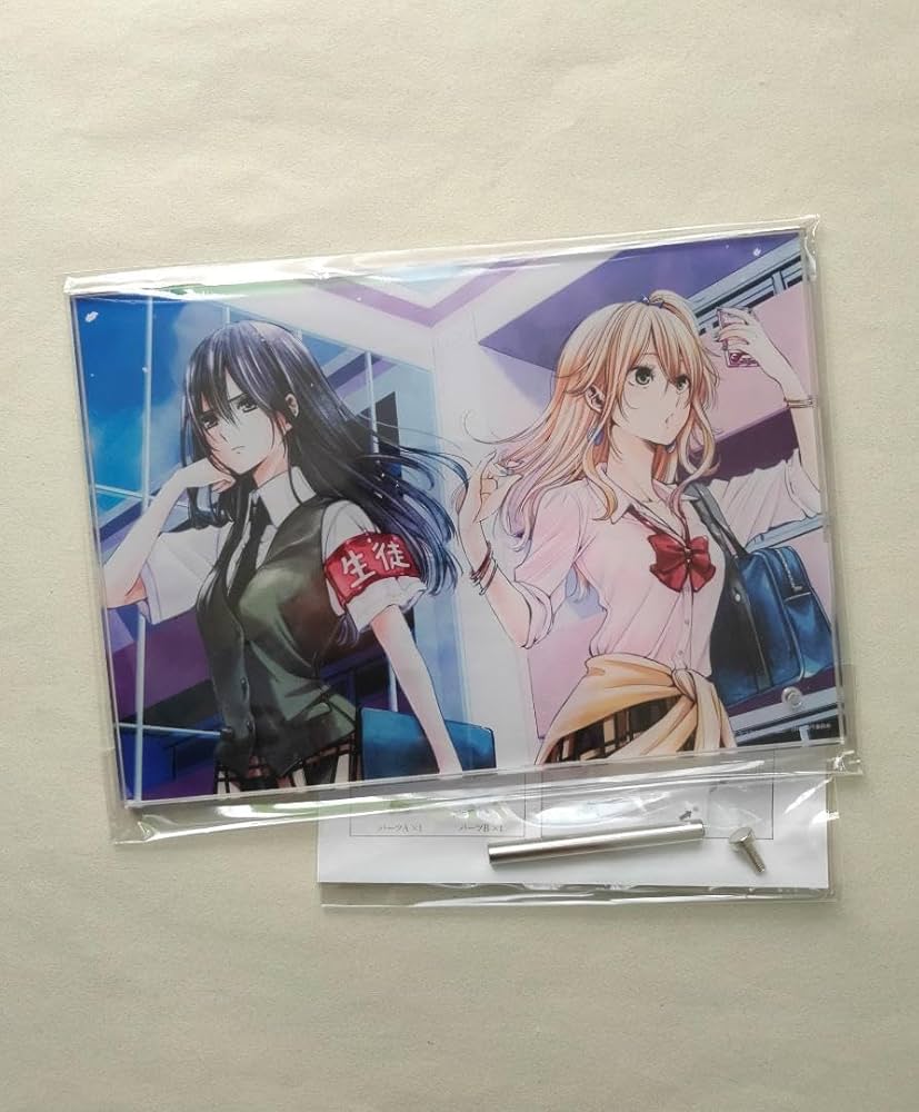 新品】citrusアクリルボード A5サブロウタcitrus+限定品a