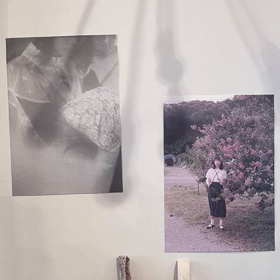 Amazon.co.jp: カネコアヤノ 暮chic by futatsukukuri ポスターセット