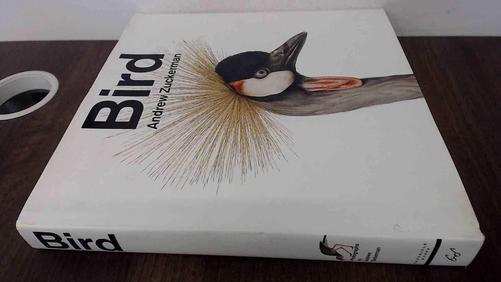 Amazon | Bird | Zuckerman, Andrew | Nature & Wildlife