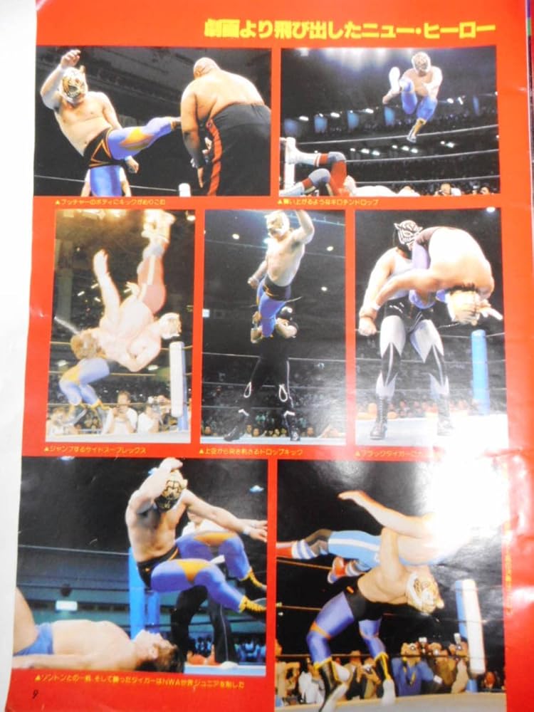 Amazon.co.jp: プロレスアルバム マスクマン 初代タイガーマスク、ミル