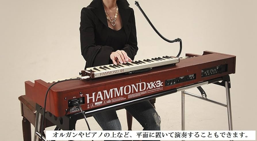 Amazon | HAMMOND ハモンド HAMMOND44 PRO-44H 鍵盤ハーモニカ