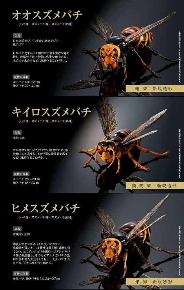 Amazon.co.jp: いきもの大図鑑アドバンス スズメバチ 全3種セット