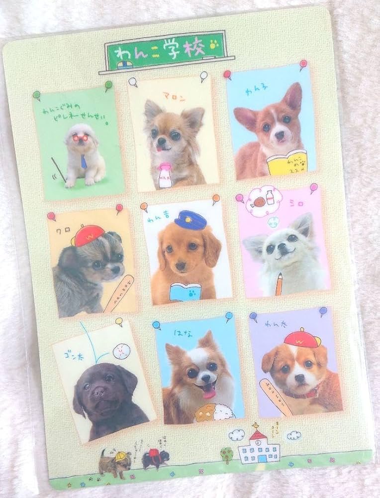 Amazon.co.jp: 平成レトロ カミオジャパン 犬 わんこ学校 下敷き