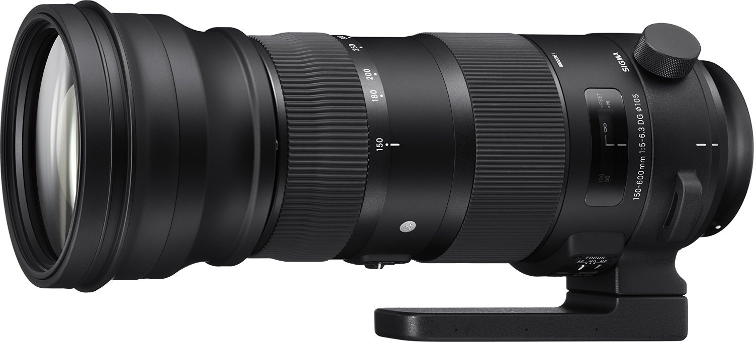 Amazon.co.jp: SIGMA 150-600mm F5-6.3 DG OS HSM | Sports S014