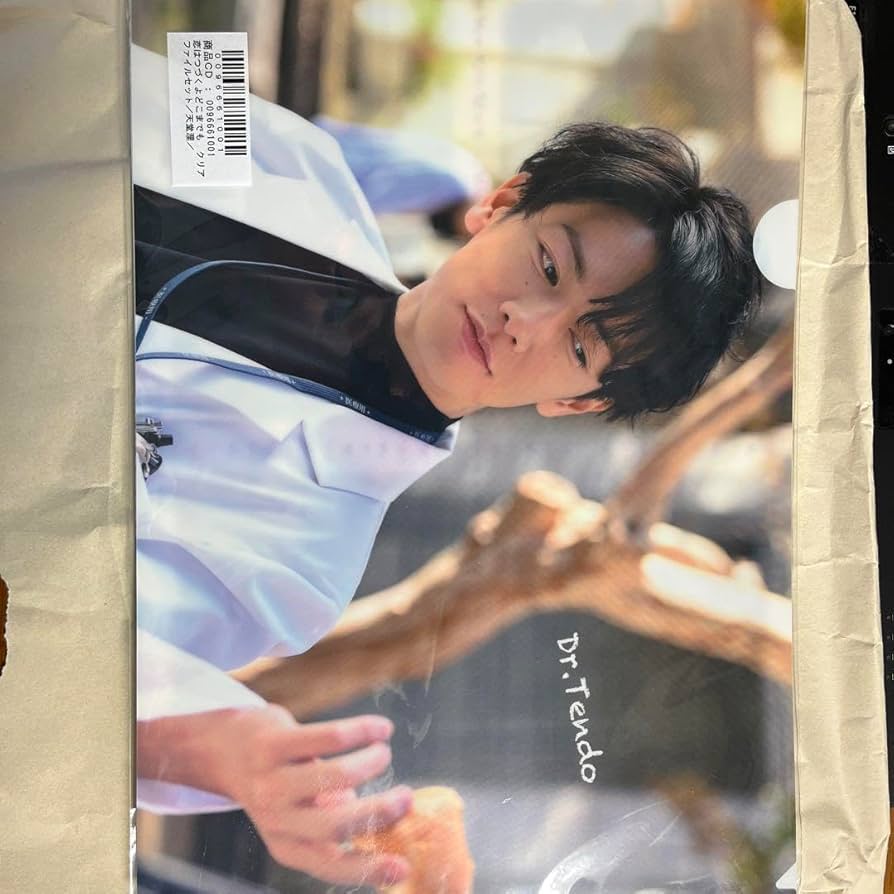 Amazon.co.jp: 恋はつづくよどこまでも 恋つづ 天堂浬 クリアファイル